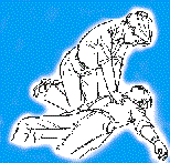 c.gif (7005 bytes)